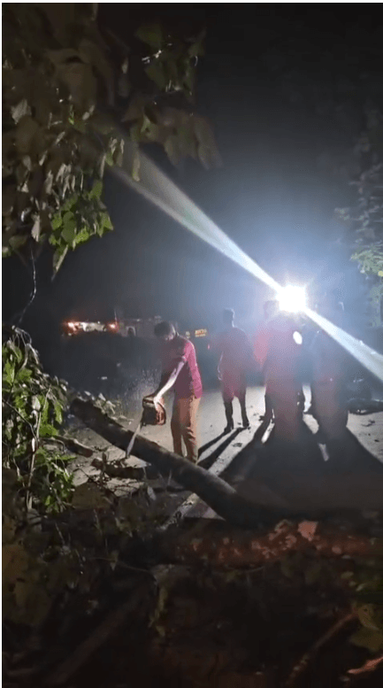 സംസ്ഥാനപാതയിൽ കൊന്നകുഴിയിൽ മരം വീണ് ഗതാഗതം തടസ്സപ്പെട്ടു.