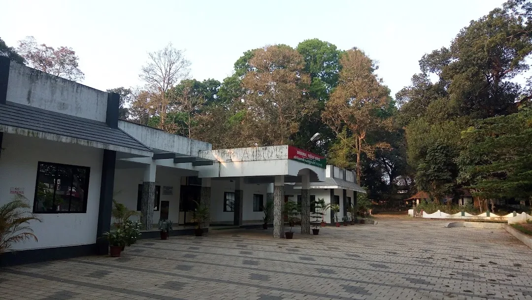 ജനവാസമേഖലയിൽ കടുവകളുടെ വിളയാട്ടം; ഭീതിയിൽ തോട്ടം തൊഴിലാളികൾ; റബ്ബർ ടാപ്പിങ് താറുമാറായി.