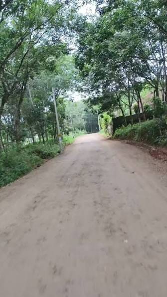 മലയോര ഹൈവേ നിർമ്മാണം ഇഴയുന്നു. ചായ്പൻകുഴിയിൽ റോഡ് പണിക്ക് മെല്ലെപ്പോക്ക്; സ്കൂൾ മതിൽ നിർമ്മാണവും കാന പണിയും പൂർത്തിയായില്ല